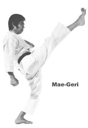 mae-geri